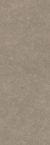 Light Stone Taupe 12x36